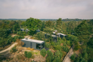 Cuber Veluwe Hoenderloo Gelderland