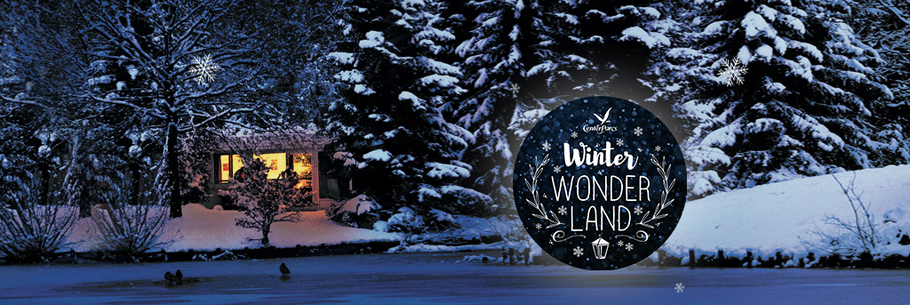 korting-center-parcs-winter