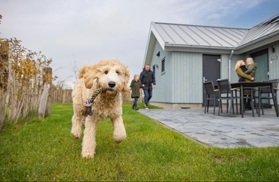 roompot-met-tuinomheining