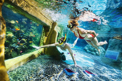 zomervakantie-bij-center-parcs