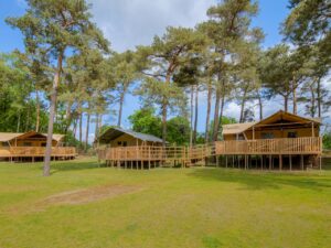 Camping de Heldense Bossen, Limburg