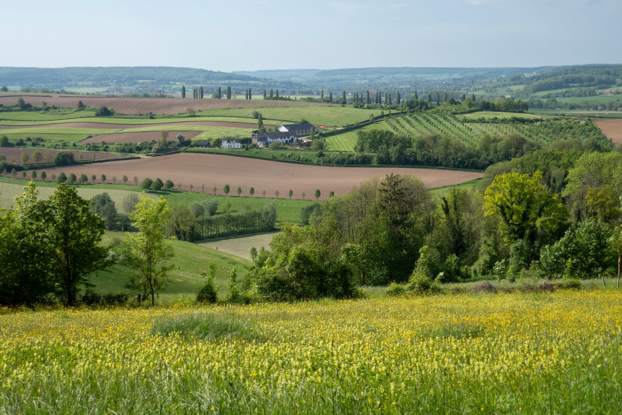 vakantieparken in Limburg