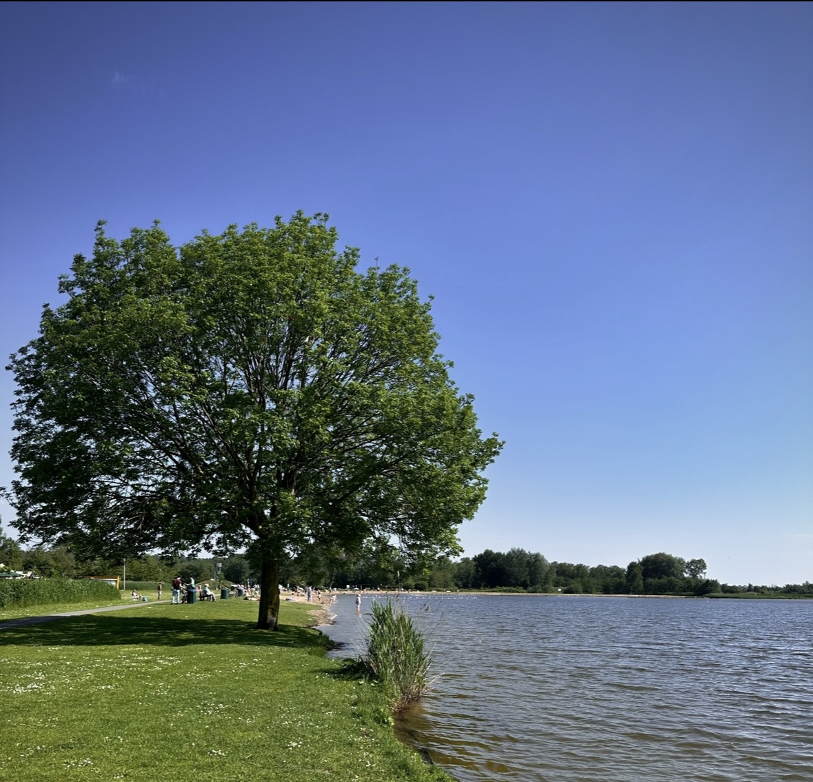 speelstrand-in-reeuwijk-incl-video-zoekeenvakantiepark