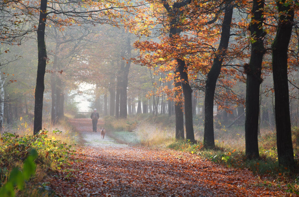 Herfstvakantie Hof van Saksen