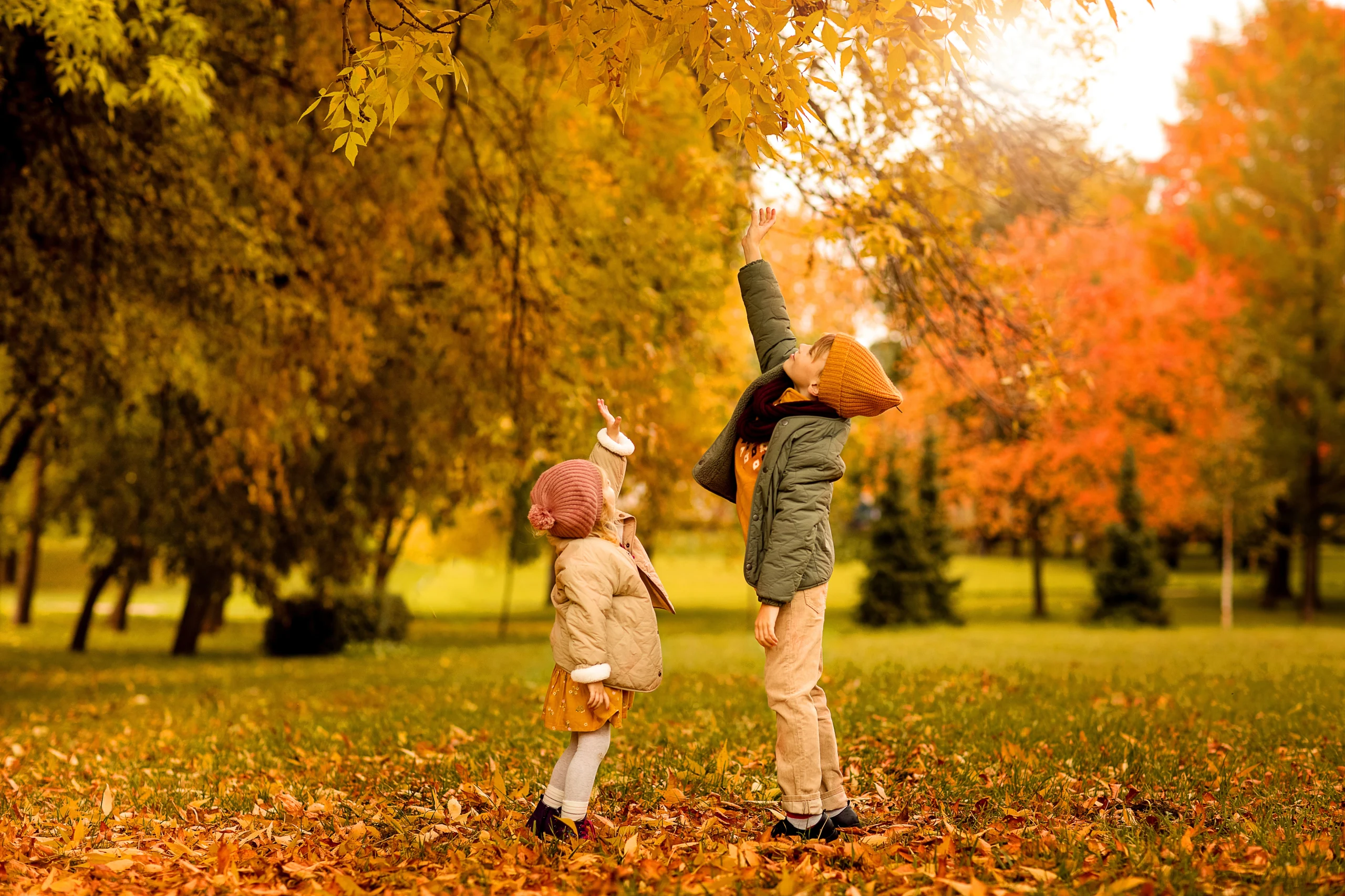 Roompot herfstvakantie aanbieding