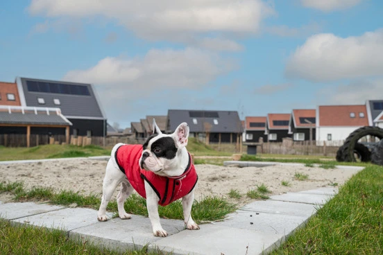 Dormio Resort Nieuwvliet-Bad honden