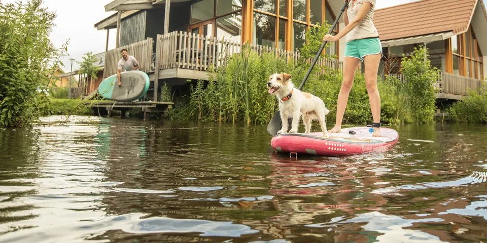 Landal Reeuwijkse Plassen honden