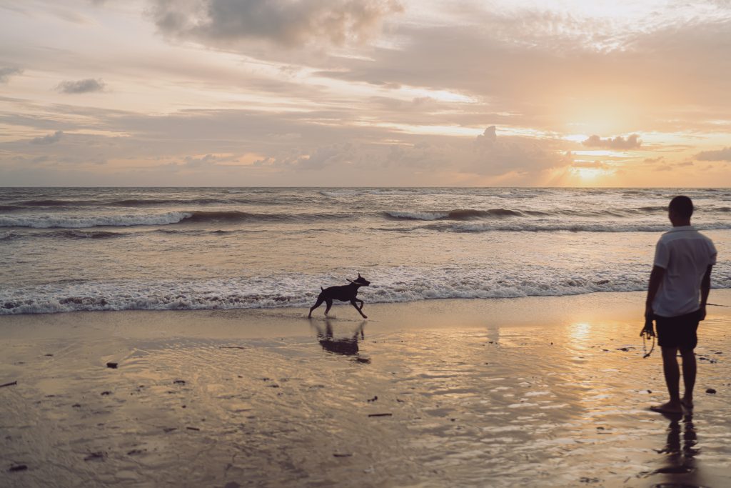 Last minute weekend weg met hond