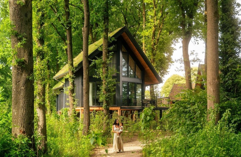 luxe huisjes in de natuur 